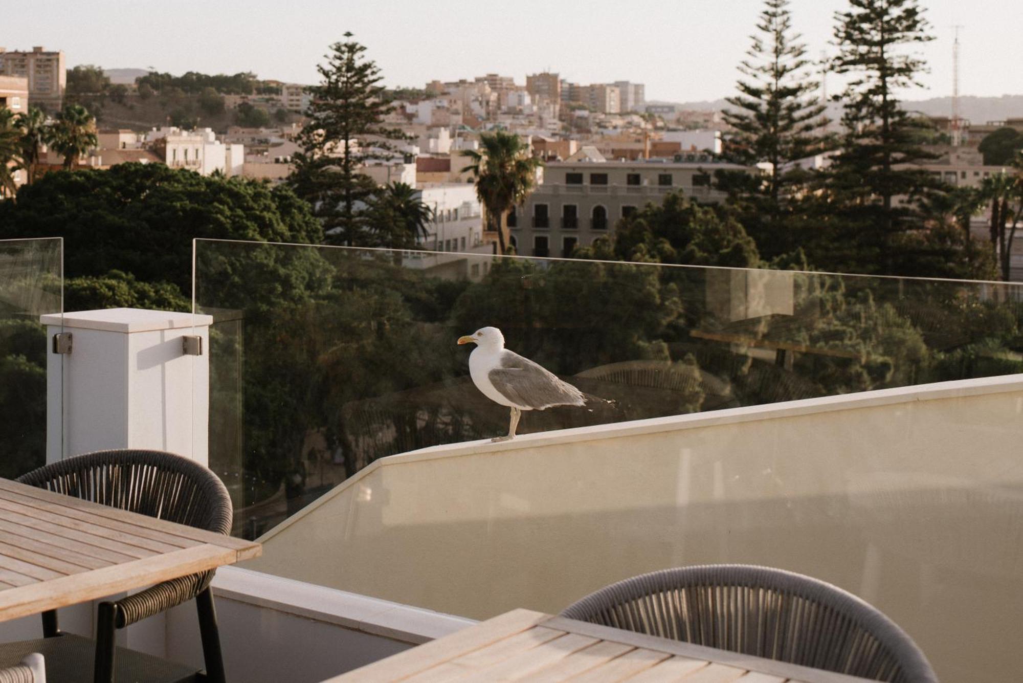 Hotel Melilla Centro Εξωτερικό φωτογραφία